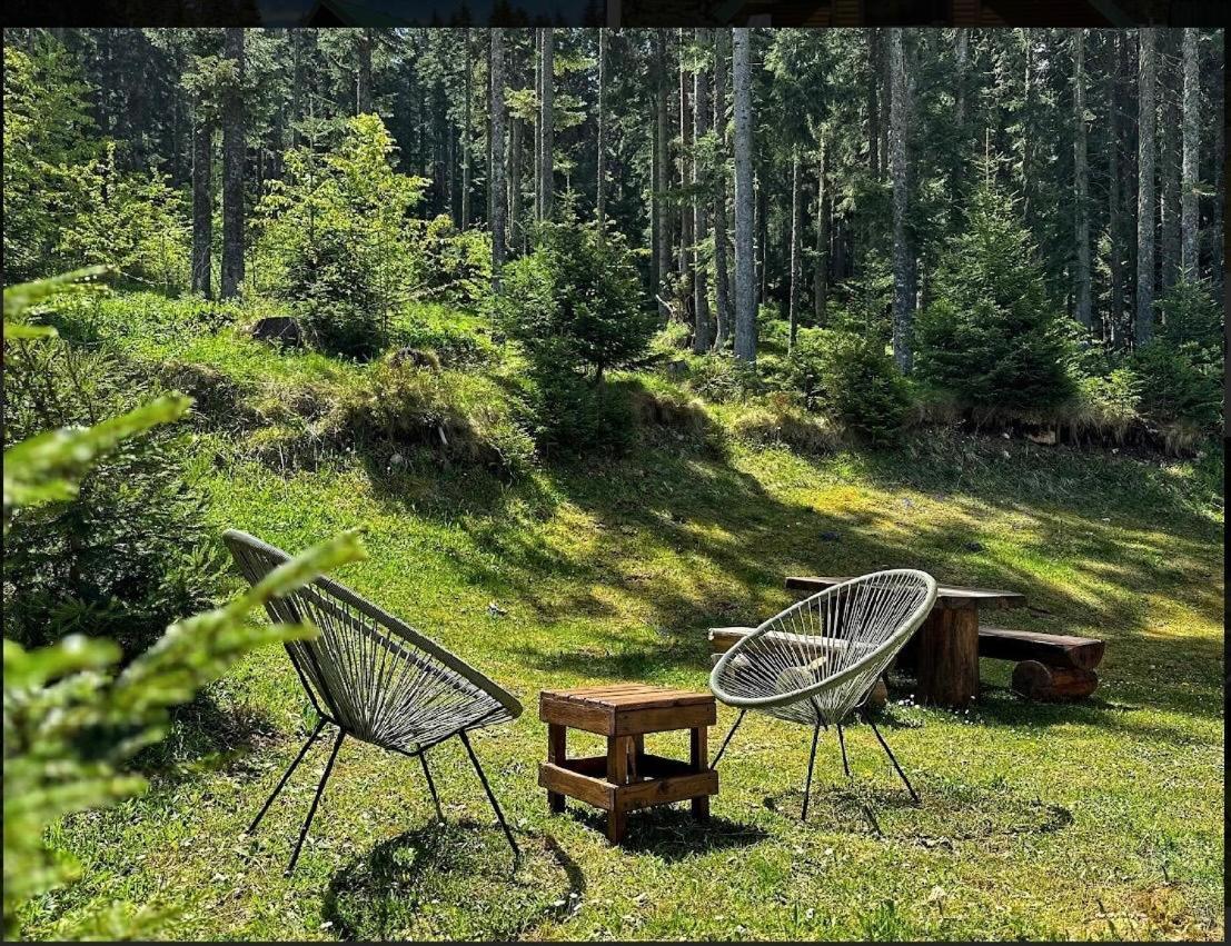 Vila Dragana Žabljak Exterior foto