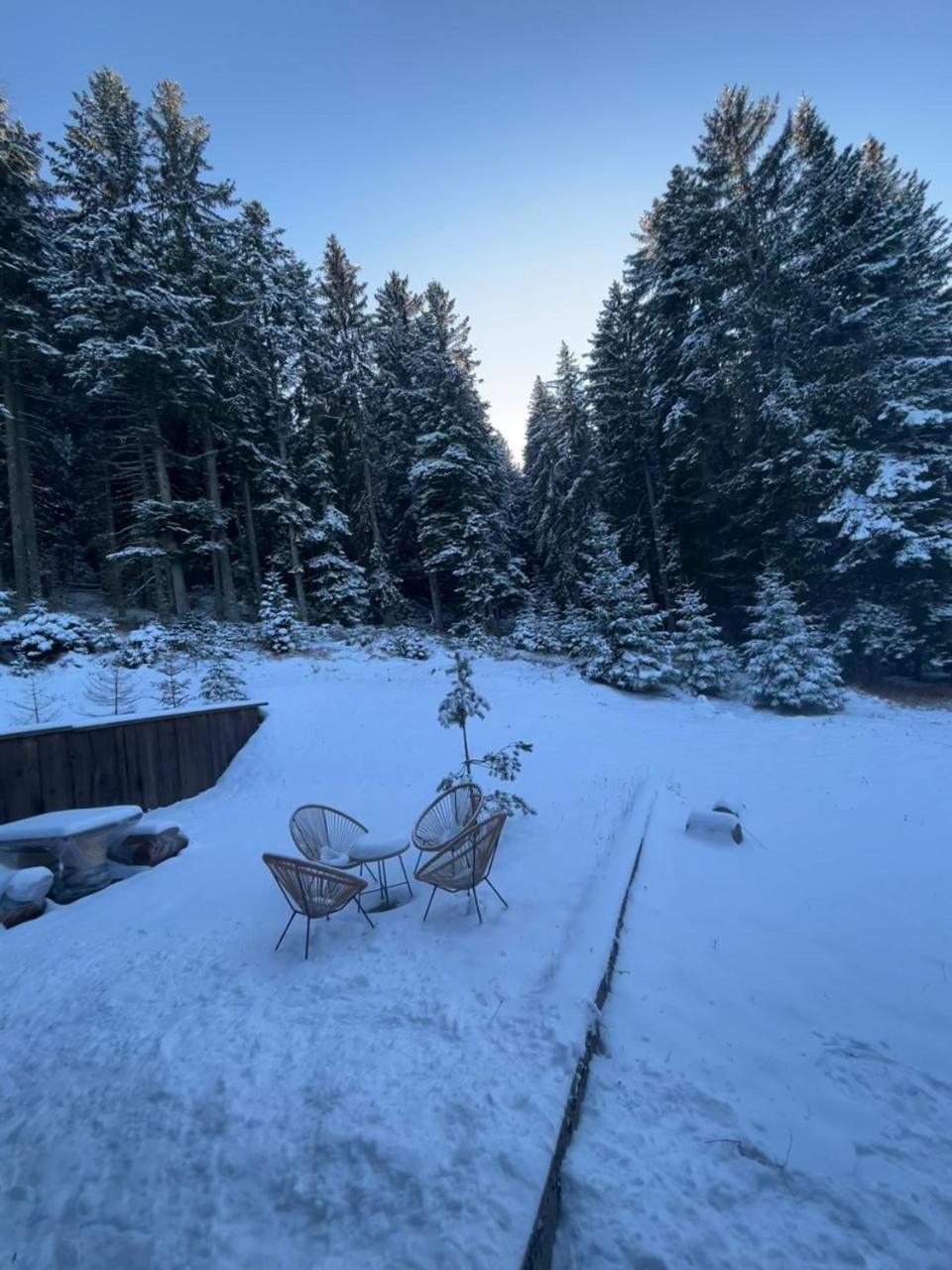 Vila Dragana Žabljak Exterior foto